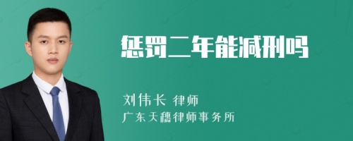 惩罚二年能减刑吗