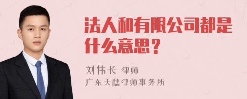 法人和有限公司都是什么意思？