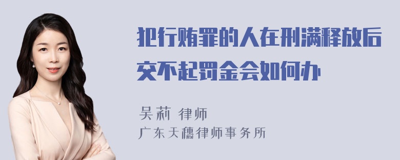 犯行贿罪的人在刑满释放后交不起罚金会如何办