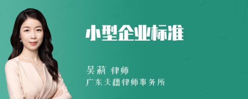 小型企业标准