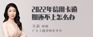 2022年信用卡逾期还不上怎么办