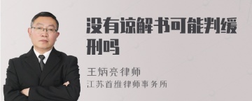 没有谅解书可能判缓刑吗