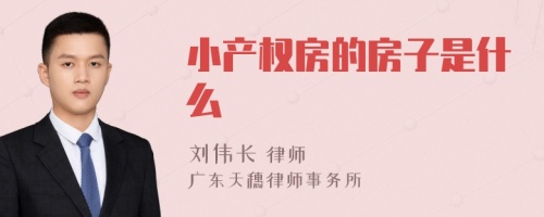 小产权房的房子是什么