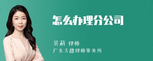 怎么办理分公司