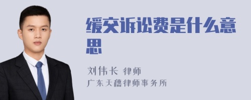 缓交诉讼费是什么意思