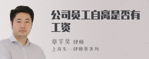 公司员工自离是否有工资