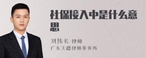 社保接入中是什么意思