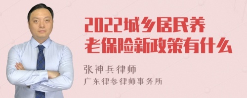 2022城乡居民养老保险新政策有什么