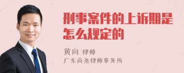 刑事案件的上诉期是怎么规定的