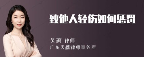 致他人轻伤如何惩罚