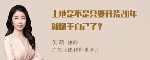 土地是不是只要开荒20年就属于自己了？