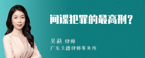 间谍犯罪的最高刑？