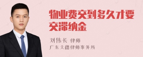 物业费交到多久才要交滞纳金