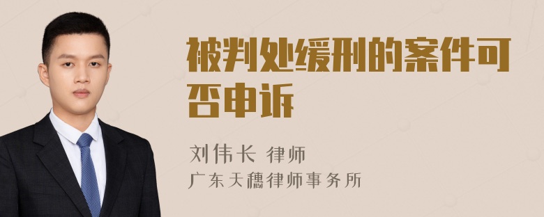 被判处缓刑的案件可否申诉