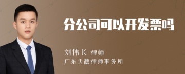 分公司可以开发票吗