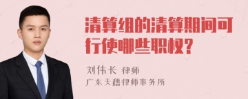 清算组的清算期间可行使哪些职权?