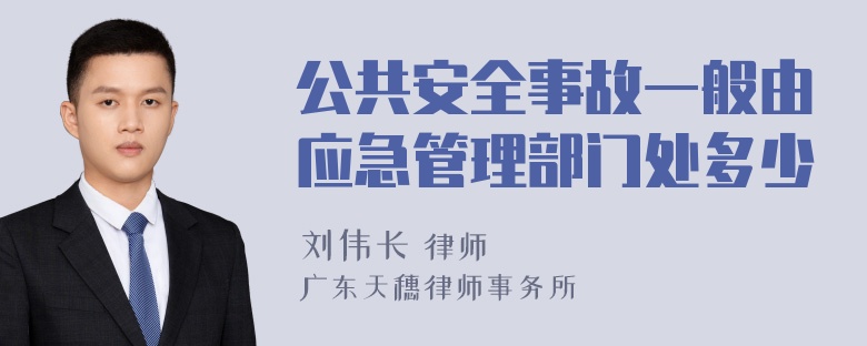 公共安全事故一般由应急管理部门处多少