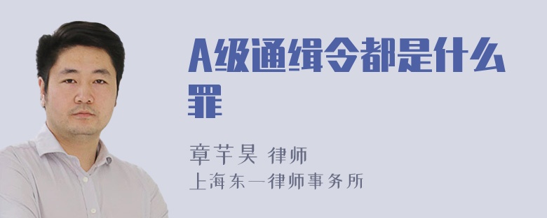 A级通缉令都是什么罪