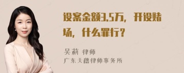 设案金额3.5万，开设赌场，什么罪行？