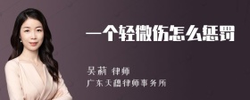 一个轻微伤怎么惩罚