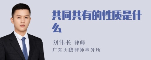 共同共有的性质是什么