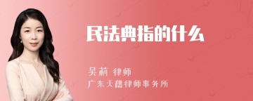 民法典指的什么