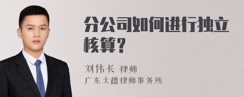 分公司如何进行独立核算？