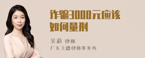 诈骗3000元应该如何量刑