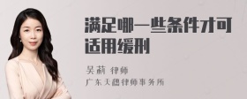 满足哪一些条件才可适用缓刑