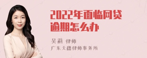 2022年面临网贷逾期怎么办