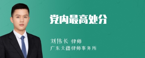 党内最高处分