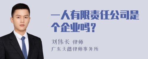 一人有限责任公司是个企业吗？