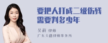 要把人打成二级伤残需要判多少年