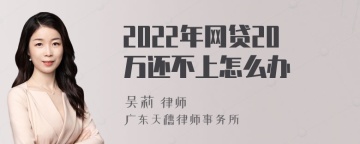 2022年网贷20万还不上怎么办