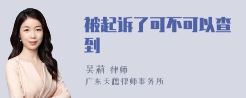 被起诉了可不可以查到