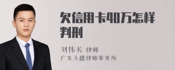 欠信用卡40万怎样判刑