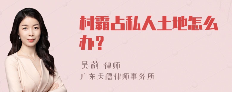 村霸占私人土地怎么办？