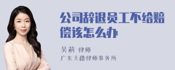 公司辞退员工不给赔偿该怎么办