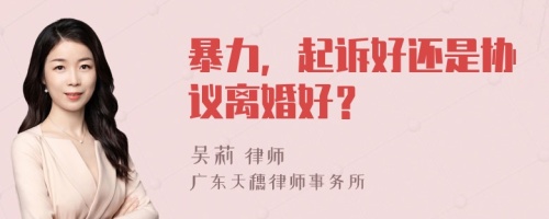 暴力，起诉好还是协议离婚好？