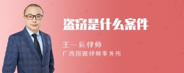 盗窃是什么案件