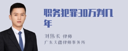 职务犯罪30万判几年