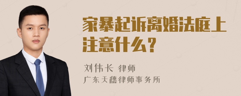 家暴起诉离婚法庭上注意什么？