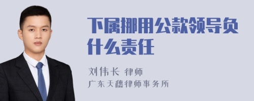 下属挪用公款领导负什么责任