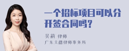 一个招标项目可以分开签合同吗？