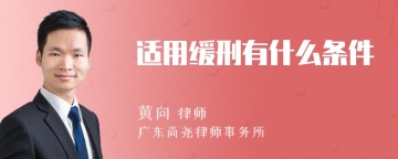 适用缓刑有什么条件