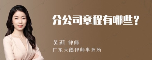 分公司章程有哪些？