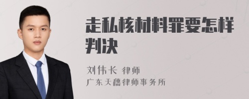 走私核材料罪要怎样判决