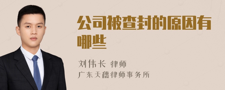 公司被查封的原因有哪些