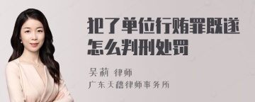 犯了单位行贿罪既遂怎么判刑处罚