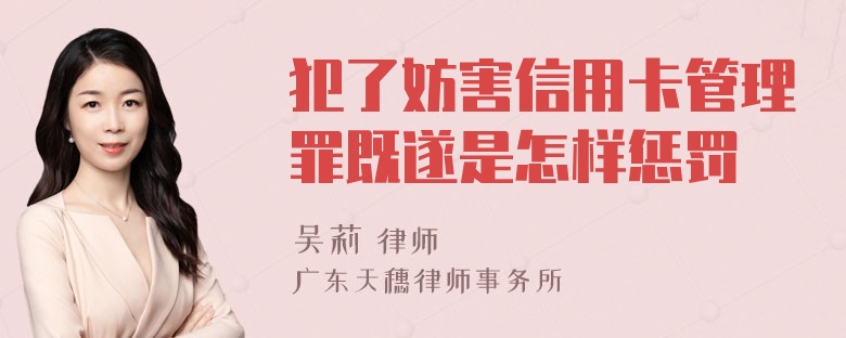 犯了妨害信用卡管理罪既遂是怎样惩罚